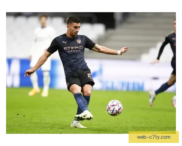 费兰托雷斯腘绳肌伤无缘欧冠