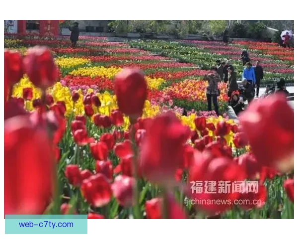 紫百合公园停摆众人缅怀科米索 紫百合公园停摆众人缅怀科米索